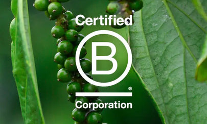 Verstegen behaalt B Corp certificering