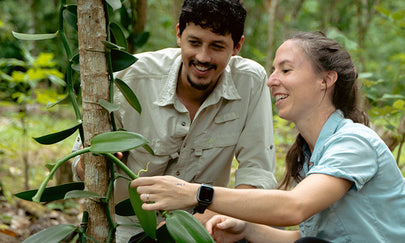 Agroforestry en vanille: het project van Verstegen in Costa Rica