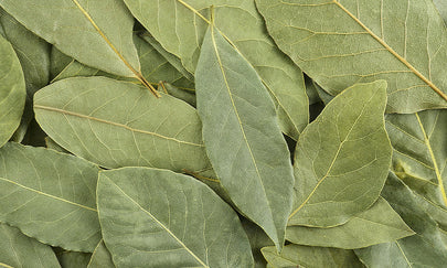 Laurier: een puur, wild kruid met een traditioneel verhaal