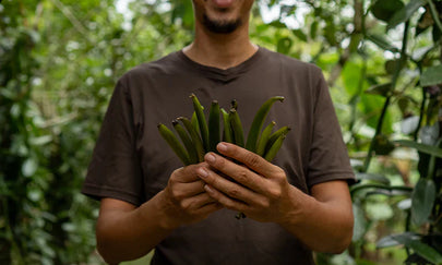 Van regenwoud tot restaurant