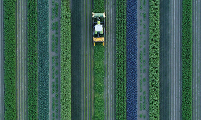 Verstegen en BI-JOVIRA starten pilot met groene kruiden in Nederland