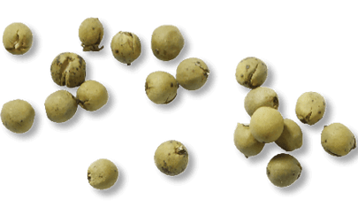 Verstegen realiseert een fors lagere CO2 door reductie in verpakkingsmateriaal