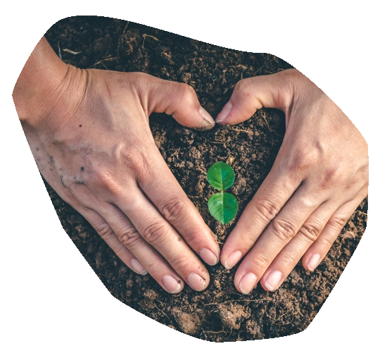 Bcorp_homepage_-_Hoe_word_je_B_Corp