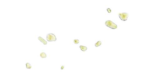 Goud-voor-contentblok