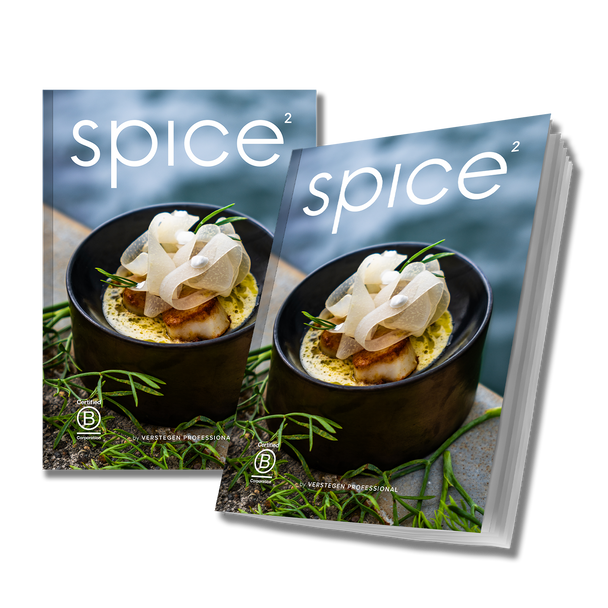 Verstegen_professional_SPICE2_Cover