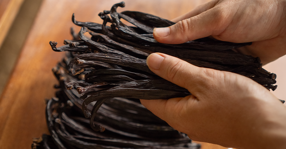 Vanille stokjes Costa Rica