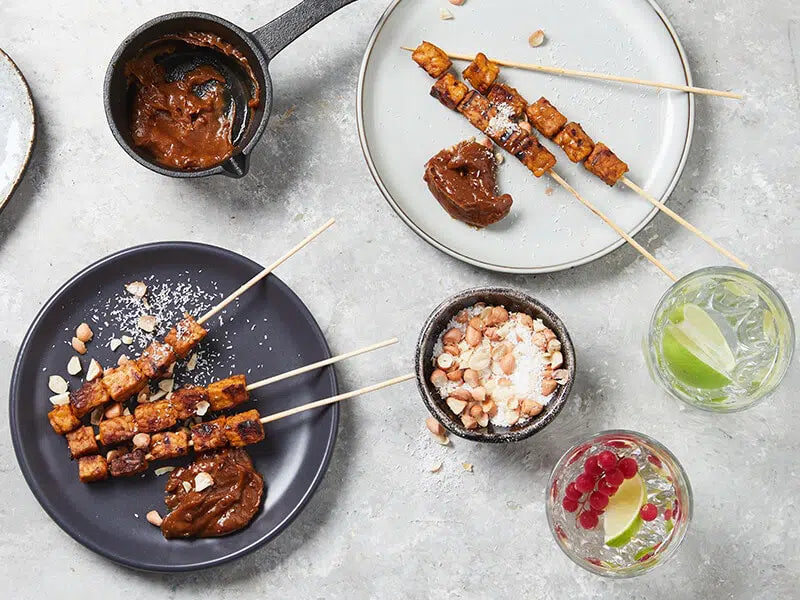 Vega-sate-van-tempeh-3x4-klein_jpg