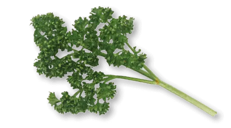 Peterselie