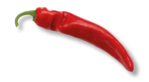 Rode peper